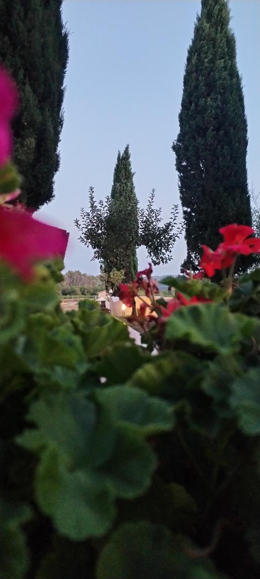 I Salici Agriturismo Badia Agnano Exteriér fotografie